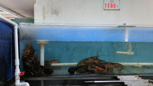 Supermarket «Thuận Phát Supermarket», reviews and photos, 13861 Brookhurst St, Garden Grove, CA 92843, USA