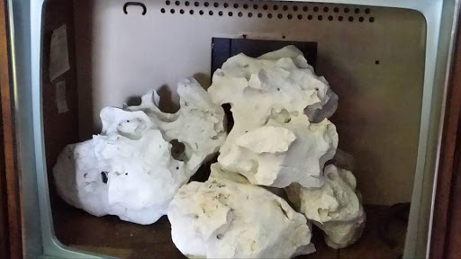 Tropical Fish Store «Aquastetics», reviews and photos, 354 E Main St, Fall River, MA 02724, USA