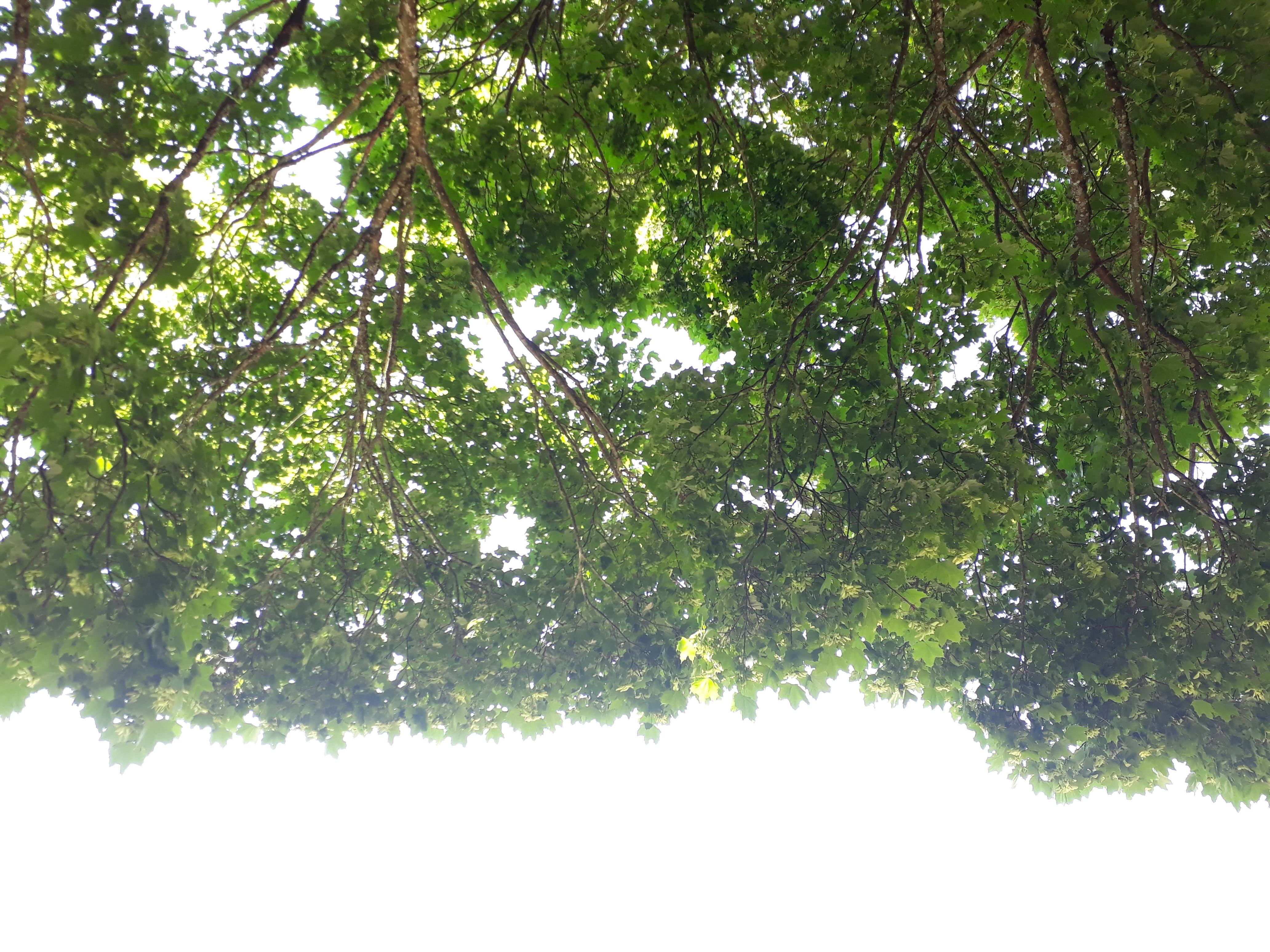 Photo n° 4 de l'avis de Elise.R fait le 24/05/2018 à 15:31