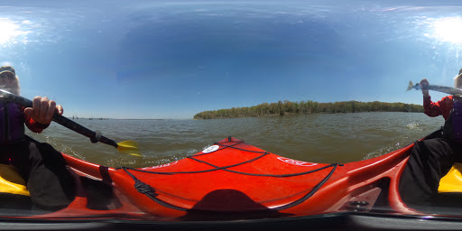 Tourist Attraction «Mallows Bay», reviews and photos, 1440 Wilson Landing Rd, Nanjemoy, MD 20662, USA