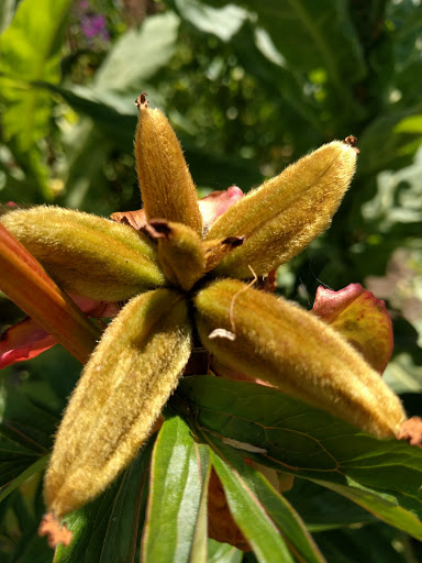 Ford Dealer «AutoNation Ford Bellevue», reviews and photos, 411 116th Ave NE, Bellevue, WA 98004, USA