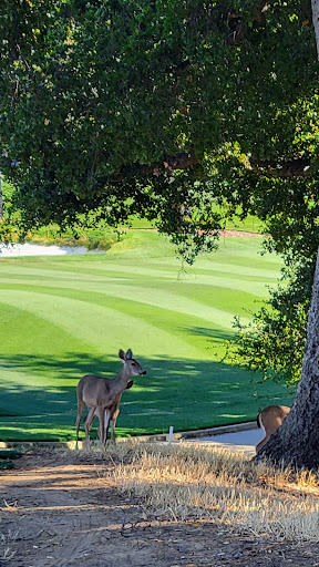 Country Club «Palo Alto Hills Golf Country Club», reviews and photos, 3000 Alexis Dr, Palo Alto, CA 94304, USA