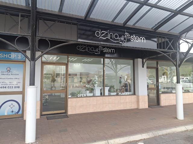 dzinastem Florist [designer stem Florist]