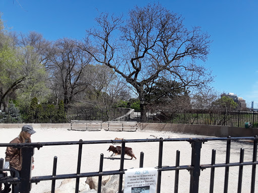 Park «Carl Schurz Park», reviews and photos, East 86th Street & East End Ave, New York, NY 10028, USA