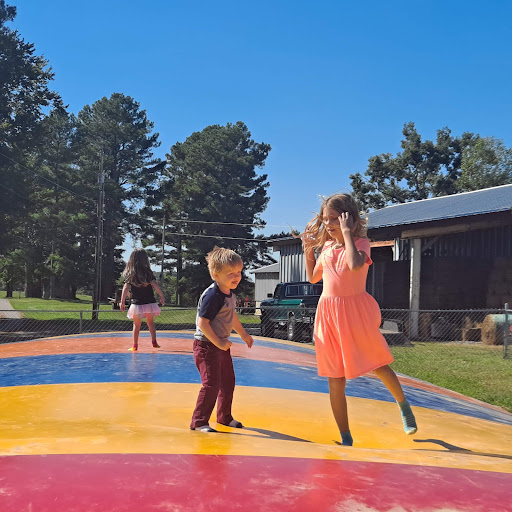 Farm «Bottom View Farm», reviews and photos, 185 Wilkerson Ln, Portland, TN 37148, USA