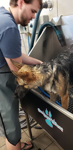 Pet Supply Store «Pet Supplies Plus», reviews and photos, 2250 N Rock Rd Ste. 110, Wichita, KS 67226, USA