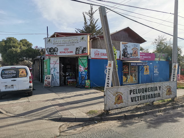 Opiniones de Veterinaria y alimento San Ignacio en La Cisterna - Veterinario