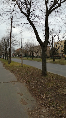 Állatorvostudományi Egyetem - Marek József Oktatóközpont és Kollégium - Budapest