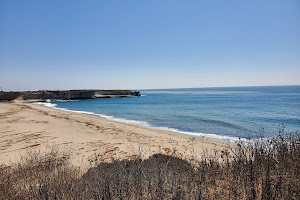 Wilder Beach