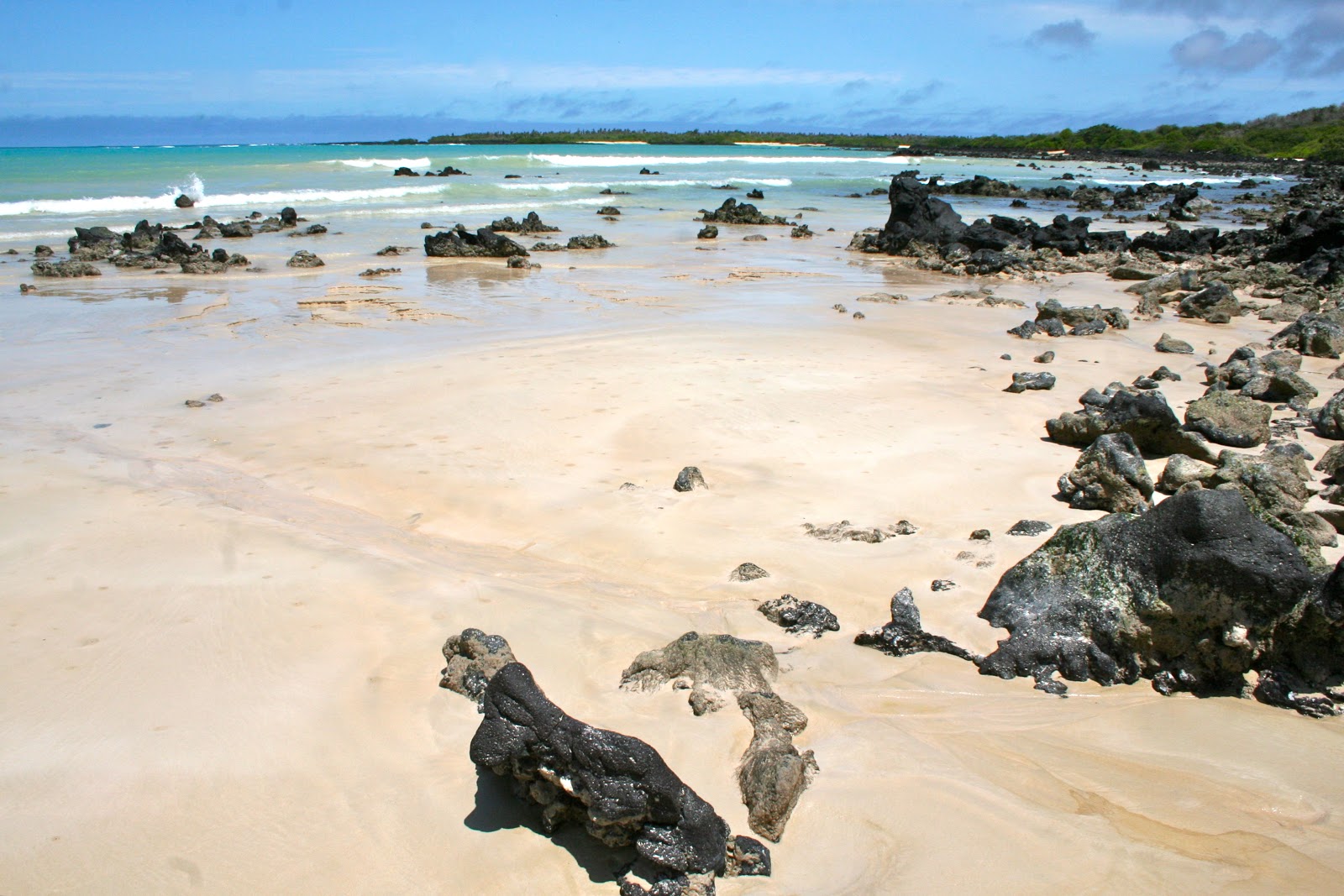 Foto de Garrapatero Beach com areia brilhante superfície