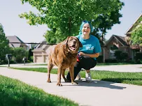 Simply Pets - Car repair in Oswego, IL, Aurora - Rated 5.0/5