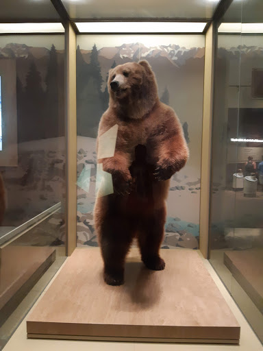 Library «National Gallery of Art Library», reviews and photos, 4th St NW, Washington, DC 20565, USA