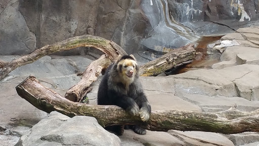 Zoo «Durhams Bear Canyon», reviews and photos, 3701 S 10th St, Omaha, NE 68107, USA