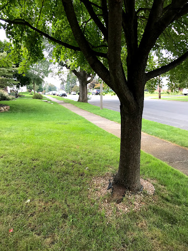 Real Estate Agency «Century 21 Ramos Realty», reviews and photos, 230 E 4th St, Bethlehem, PA 18015, USA