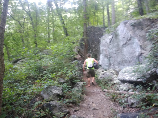 National Park «Chickamauga & Chattanooga National Military Park», reviews and photos, 3370 Lafayette Rd, Fort Oglethorpe, GA 30742, USA