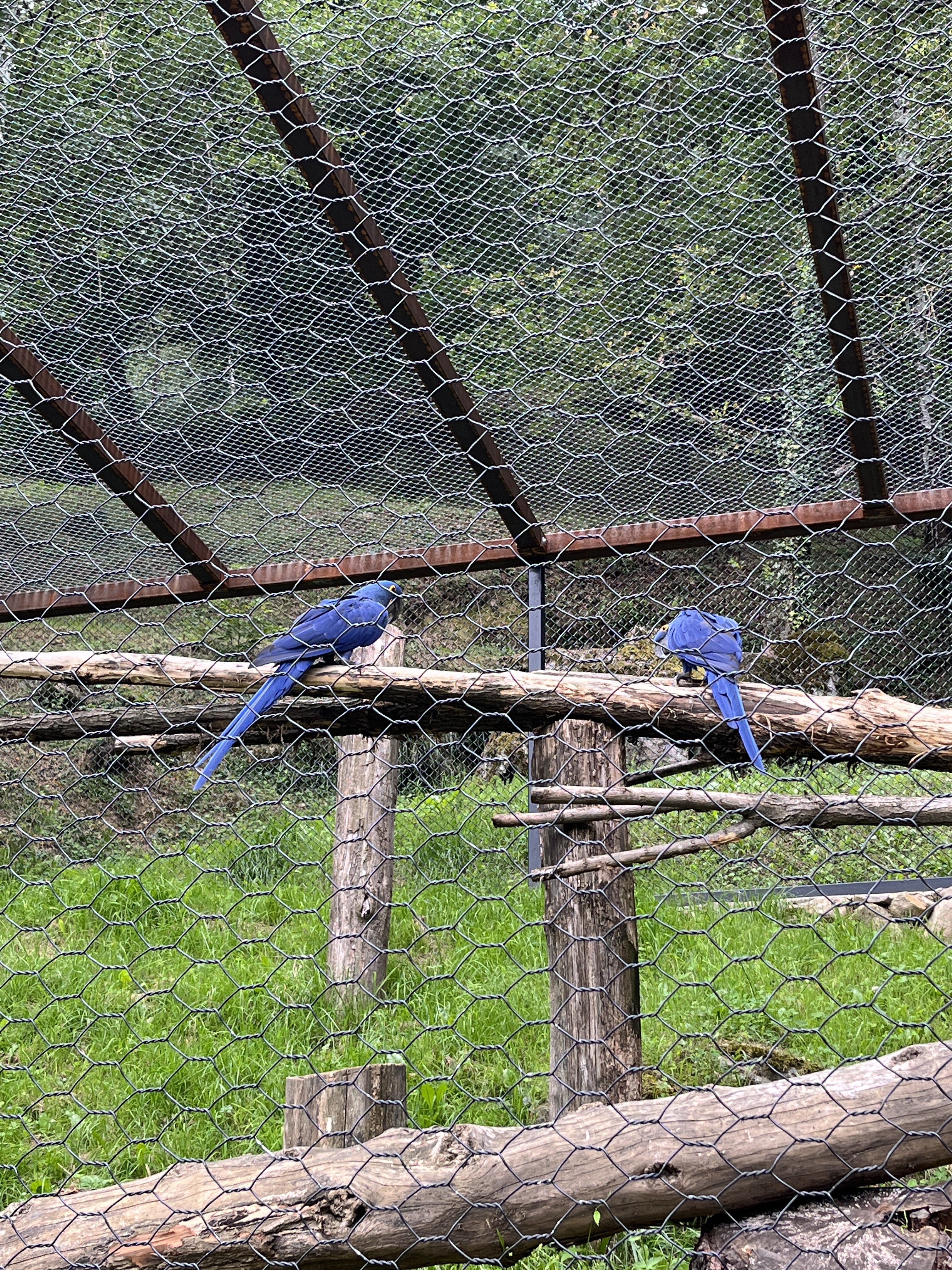 Photo n° 2 de l'avis de QIN.I fait le 16/07/2023 à 10:58