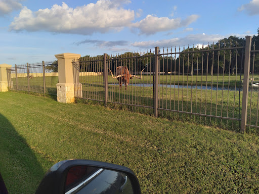 Convenience Store «Corner Store», reviews and photos, 2998 TX-46, Seguin, TX 78155, USA