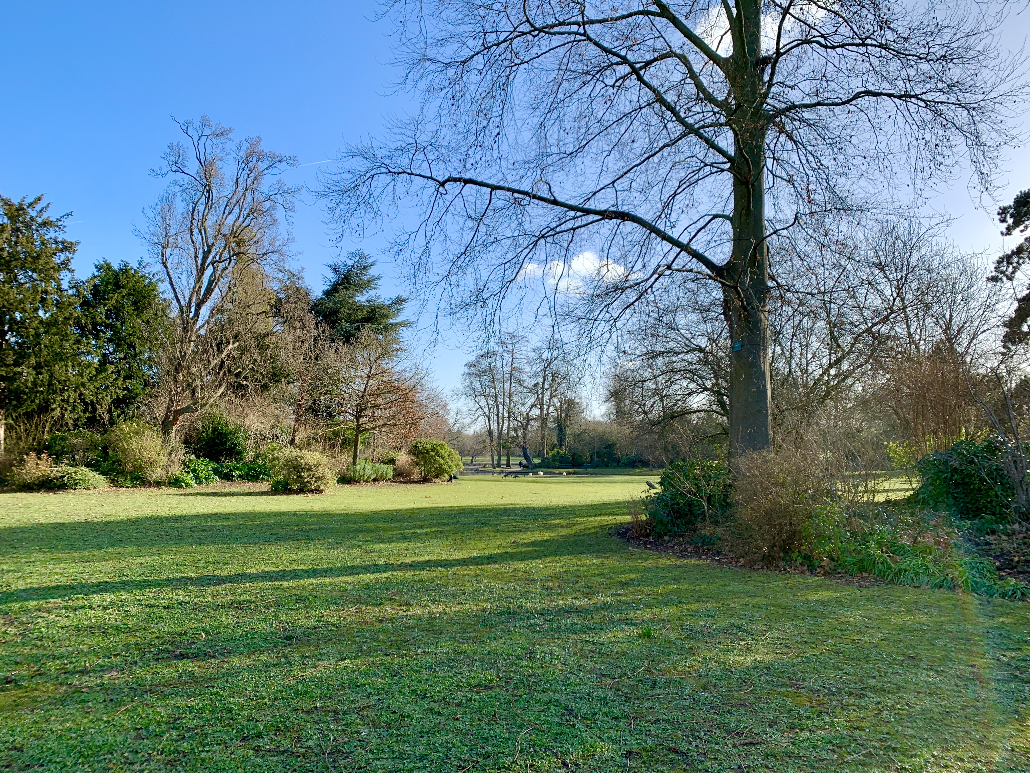 Photo n° 35 de l'avis de Agnès. fait le 10/02/2022 à 08:51