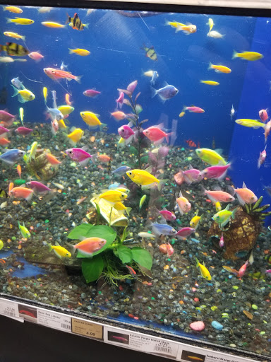 Pet Supply Store «Pet Valu», reviews and photos, 200 Biggs Blvd, Harrison, OH 45030, USA