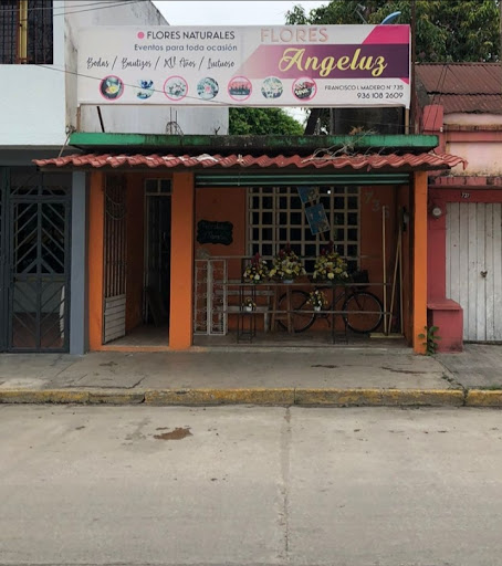 Flores ángelus – Macuspana