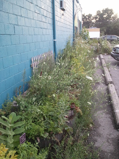 Raw Food Restaurant «Treehouse For Earths Children Holistic Center», reviews and photos, 22906 Mooney St, Farmington, MI 48336, USA