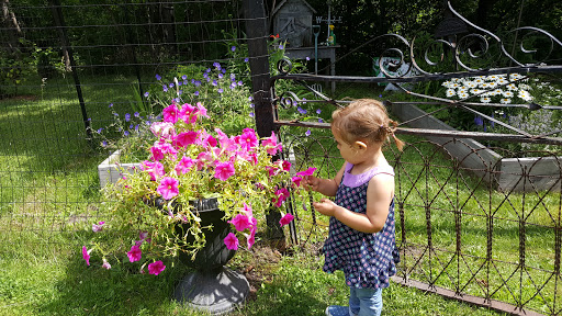 Coffee Shop «Siskiwit Bay Coffee & Crsts», reviews and photos, 88610 Superior Ave, Cornucopia, WI 54827, USA