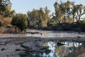 Butlers Falls Reserve image