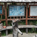 Photo n°6 de l'avis de xvitax. fait le 28/06/2022 à 09:43 sur le  Moarhofalm Ristorante Rifugio à Kiens