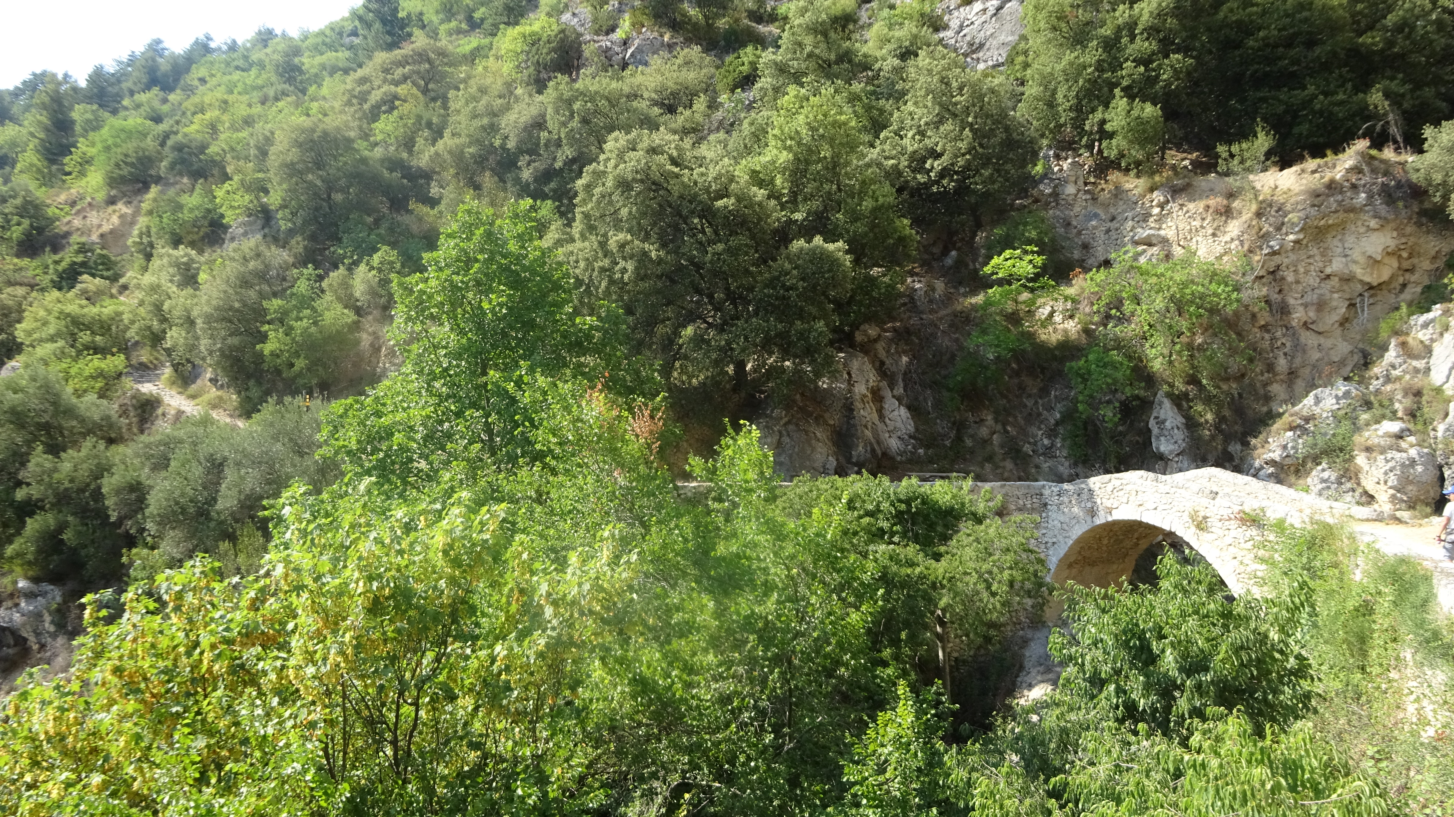 Photo n° 1 de l'avis de Wendelyn.o fait le 20/07/2022 à 17:19