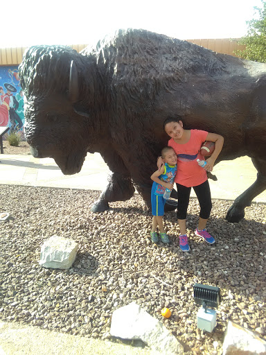 National Park «Chamizal National Memorial», reviews and photos, 800 S San Marcial St, El Paso, TX 79905, USA