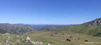 Photo n° 11 de l'avis de rosa r.c. fait le 30/09/2023