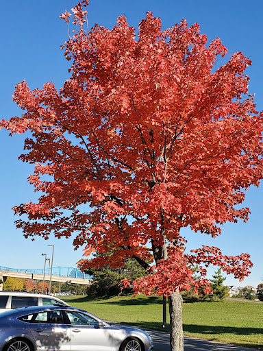 State Park «Constitution Beach», reviews and photos, 799 Bennington St, Boston, MA 02128, USA