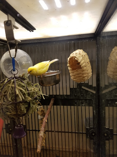 Pet Supply Store «PetSmart», reviews and photos, 1130 SE Everett Mall Way, Everett, WA 98208, USA