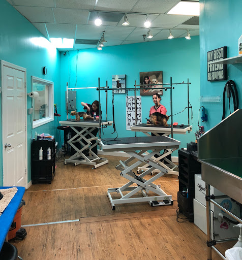 Pet Store «Bark Life Market», reviews and photos, 11220 Park Blvd N, Seminole, FL 33772, USA