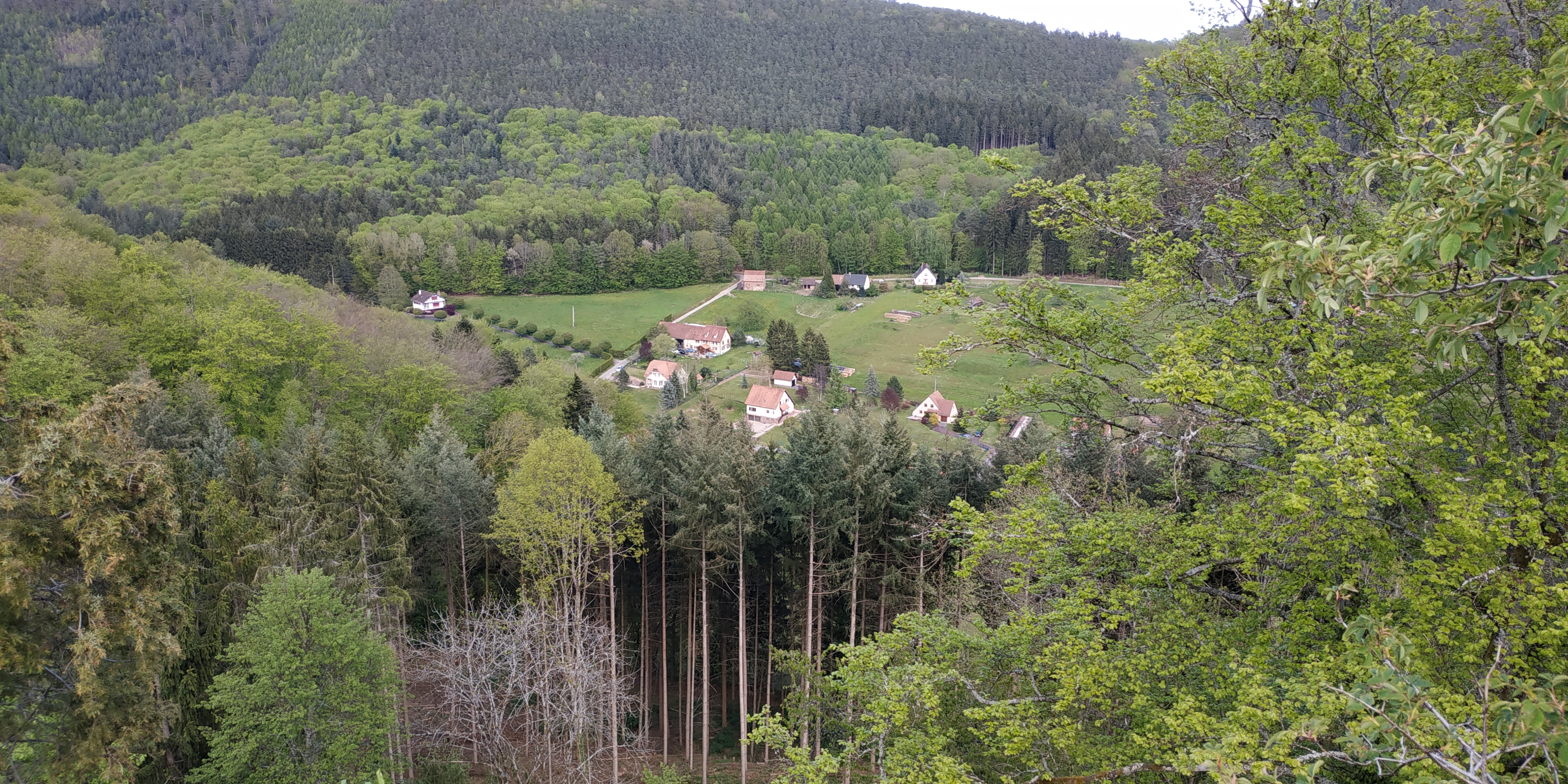 Photo n° 3 de l'avis de Sorti.u fait le 09/05/2021 à 14:56