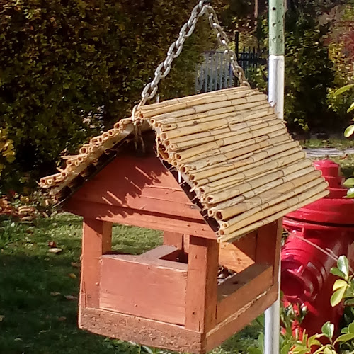 Opinii despre Magyarországi Metodista Egyház Budakeszi Templom în Budakeszi - Templom