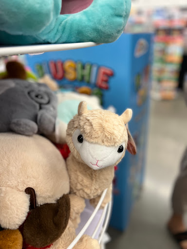 Variety Store «Five Below», reviews and photos, 607 NJ-18, East Brunswick, NJ 08816, USA