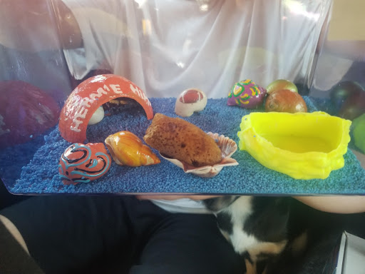 Gift Shop «North Beach Gift Shop», reviews and photos, 2901 Surfside Blvd, Corpus Christi, TX 78402, USA