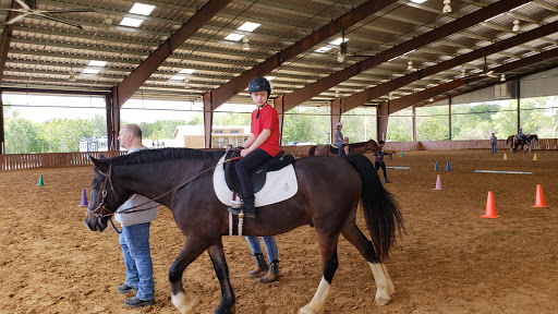 Horse riding lessons Dallas