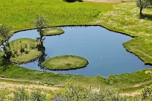 Floating Islands Natural Monument image