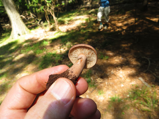 Nature Preserve «Greenbrook Nature Sanctuary», reviews and photos, Green Brook Rd, Tenafly, NJ 07670, USA