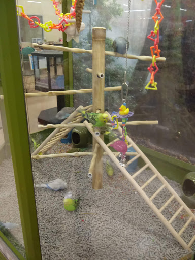 Pet Supply Store «Petco Animal Supplies», reviews and photos, 240 Upland Square Dr, Stowe, PA 19464, USA