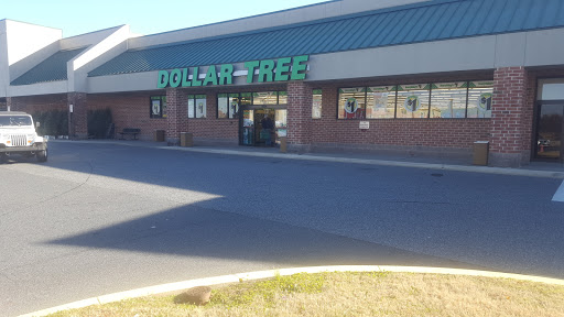 Dollar Store «Dollar Tree», reviews and photos, 217 Stadium St, Smyrna, DE 19977, USA