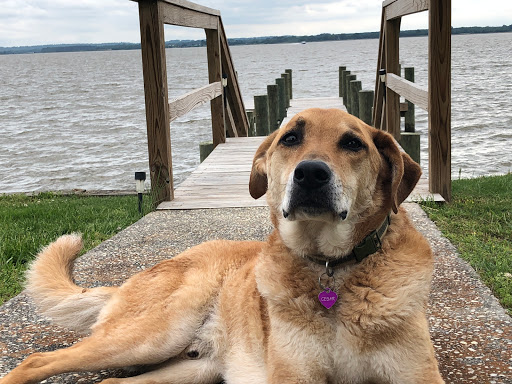 Mortgage Lender «William Schroeder Mortgage Loan Officer, NMLS#482573», reviews and photos