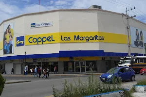 Coppel Margaritas image
