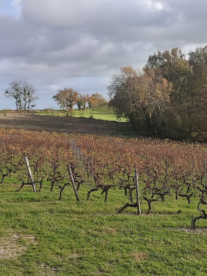 Domaine et Gite de l'Angelière - Vignoble Boret à Bellevigne-en-Layon