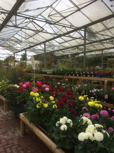 GARDENERS WORLD GARDEN CENTRE