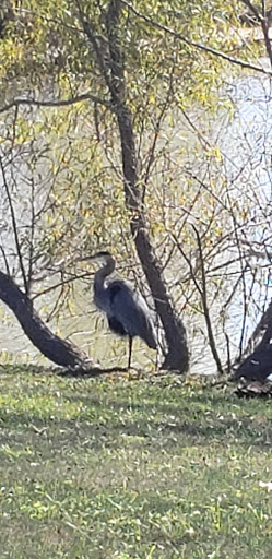 Picnic Ground «Gateway Island», reviews and photos, 1875 W College St, Murfreesboro, TN 37129, USA