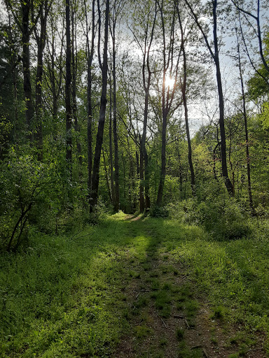 Park «Buffalo Trace Park», reviews and photos, 1540 US-150, Palmyra, IN 47164, USA