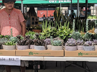 Historic Downtown Jersey City Farmers' Market